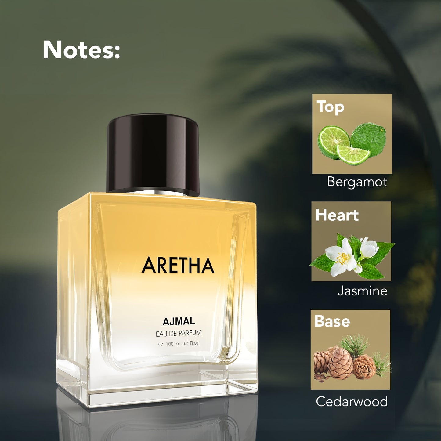 fruity and floral perfume - ARETHA EDP Perfume 100ML for Women by Ajmal Perfumes