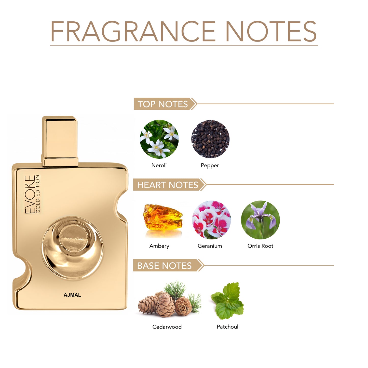evoke gold for him ajmal - EVOKE GOLD EDITION EDP Perfume 90ML for Men from Ajmal perfumes