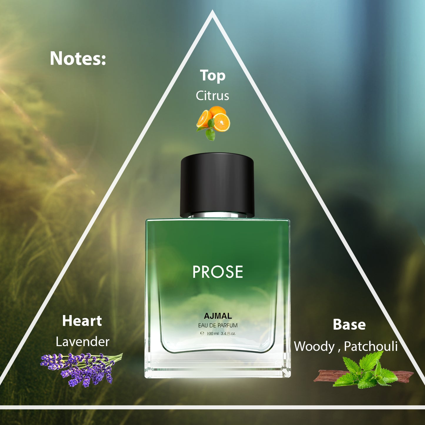 fresh citrus perfume - PROSE EDP Perfume 100ML for Men from Ajmal Perfumes