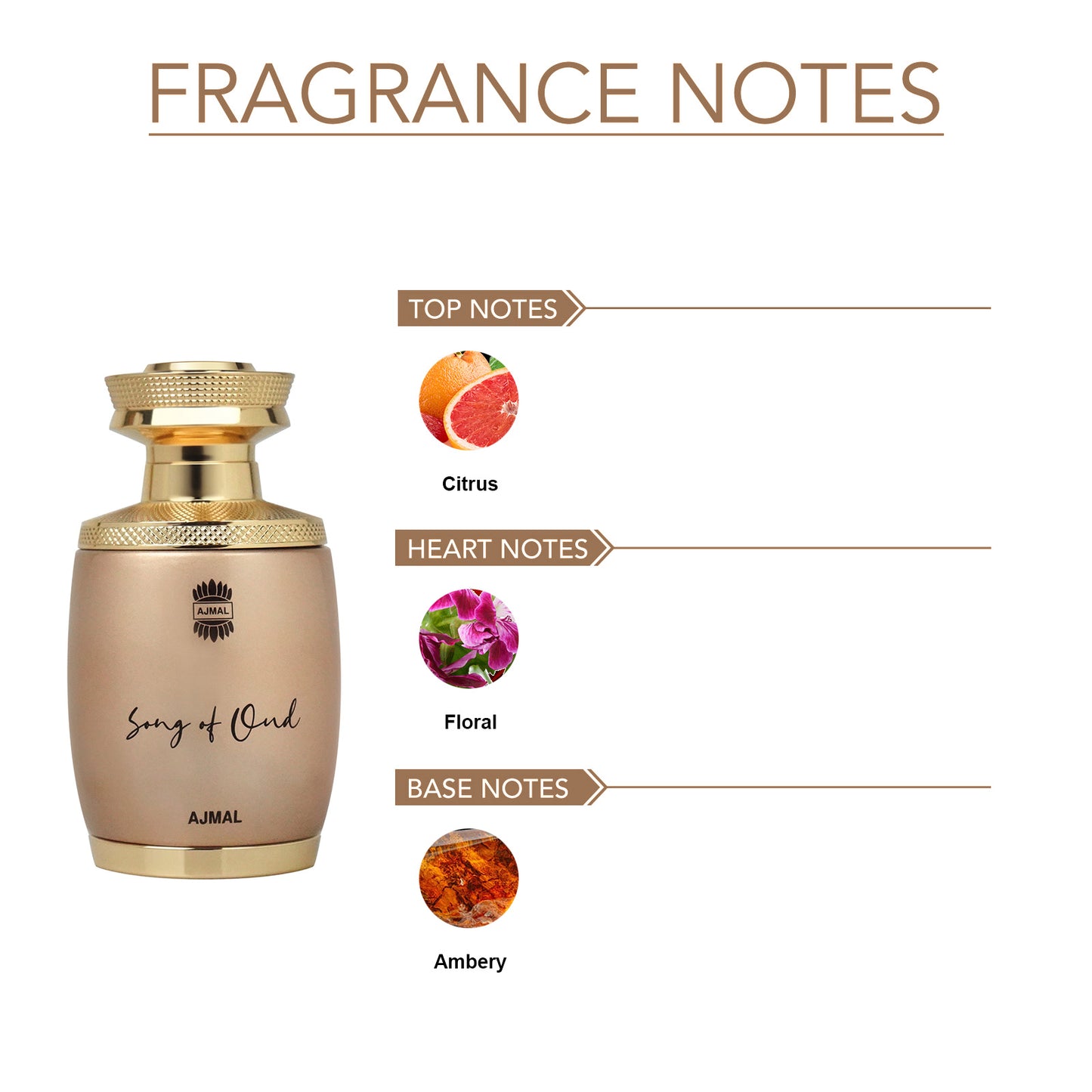 luxury perfume for women - SONG OF OUD EDP Perfume 75ML for Unisex from Ajmal Perfumes