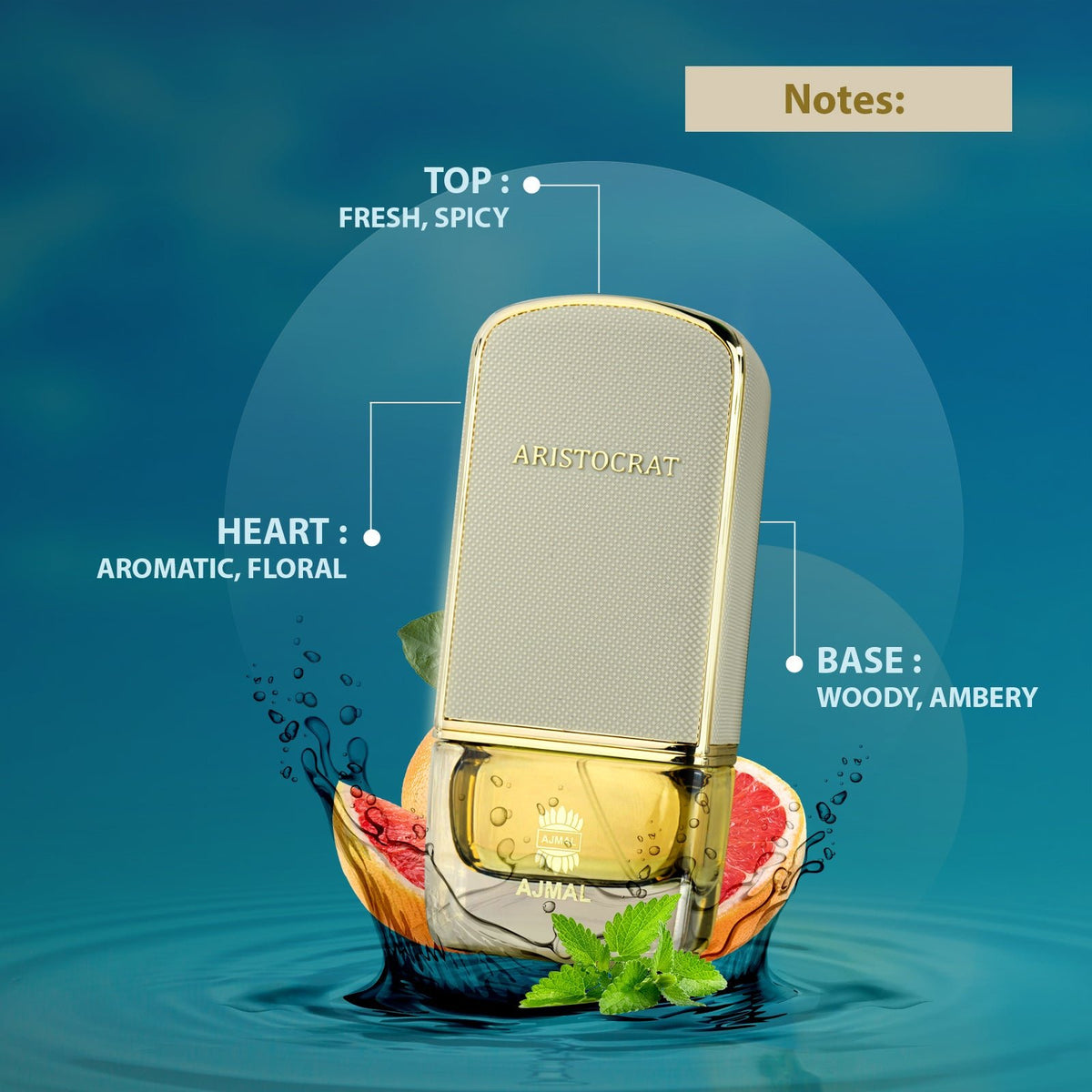 spicy mens perfume​ ​- ARISTOCRAT COASTAL EDP Perfume 75ML for Men from Ajmal Perfumes