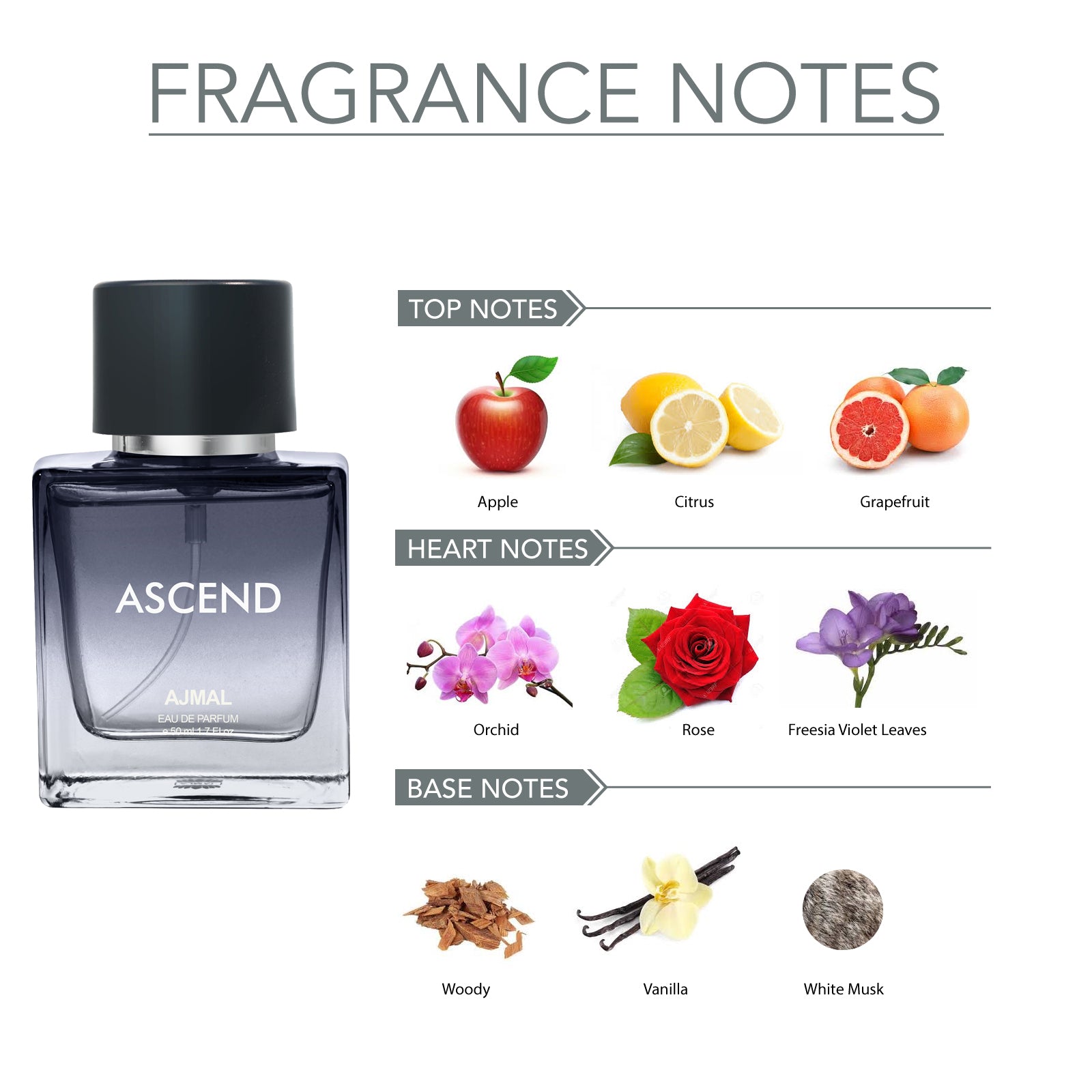 ASCEND EDP 50 ML for Unisex and NEEA EDP 50 ML for Women and PROSE EDP 50 ML for Men and YEARN EDP 50 ML for Men Pack of 4