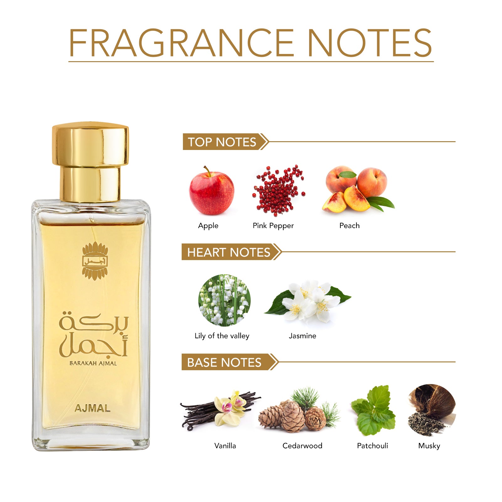 fruity perfume - BARAKAH EDP Perfume 50ML for Unisex from Ajmal perfumes
