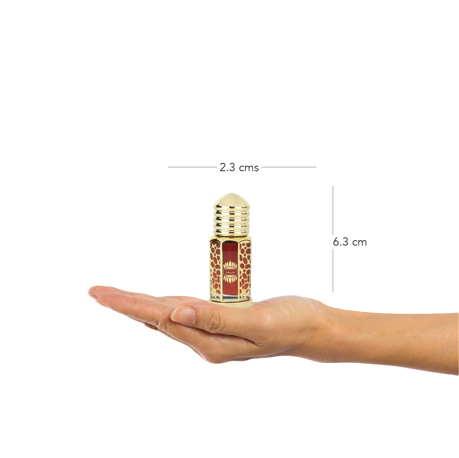 Dahnul Oudh Hayati Concentrated Perfume Perfume 6ML For Unisex