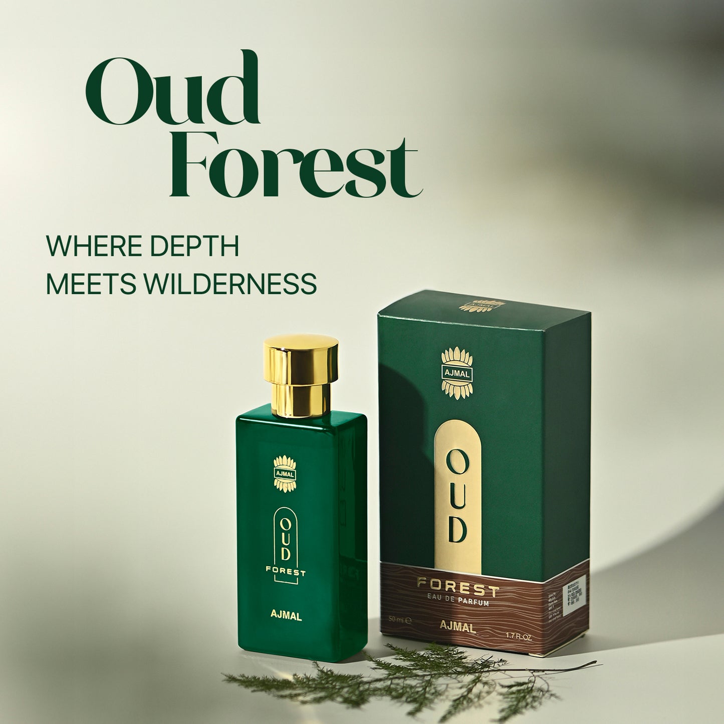 Oud Forest Perfume 50 ML for Unisex