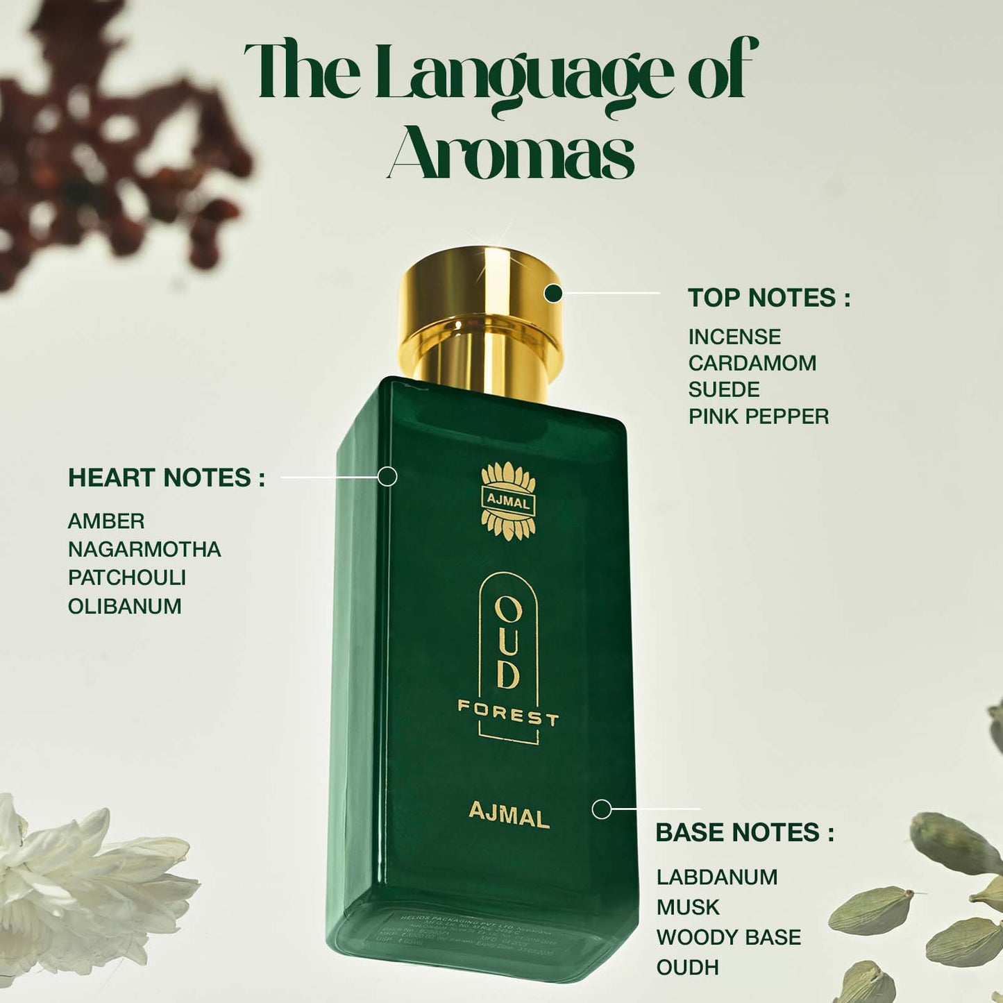 Oud Forest Perfume 50 ML for Unisex