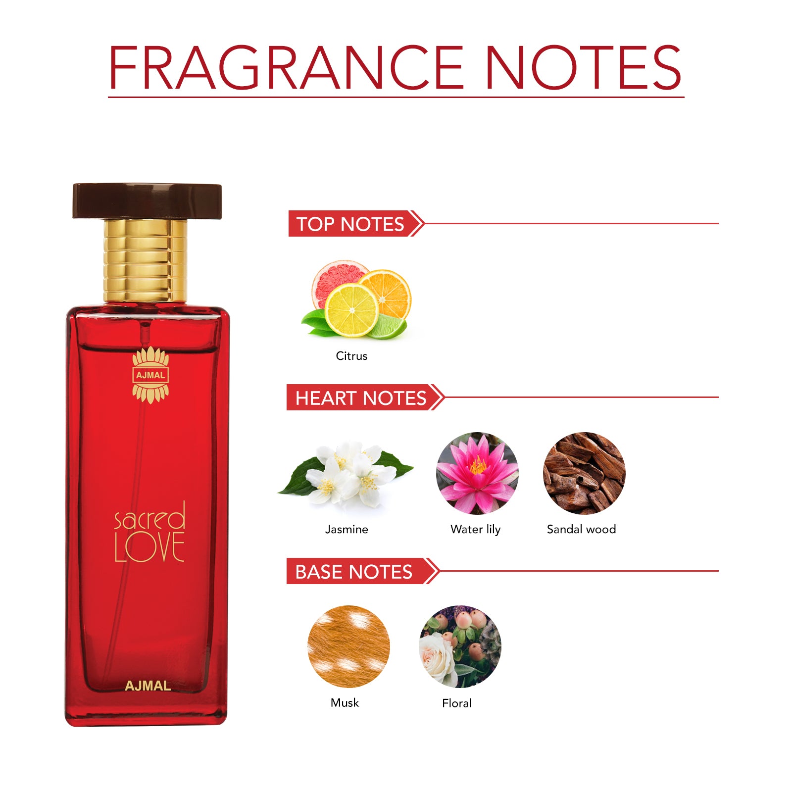 Sacred Love EDP Floral Musky Perfume 50ml for Women and Titanium EDP Citrus Spicy Perfume 100ml for Men Pack of 2