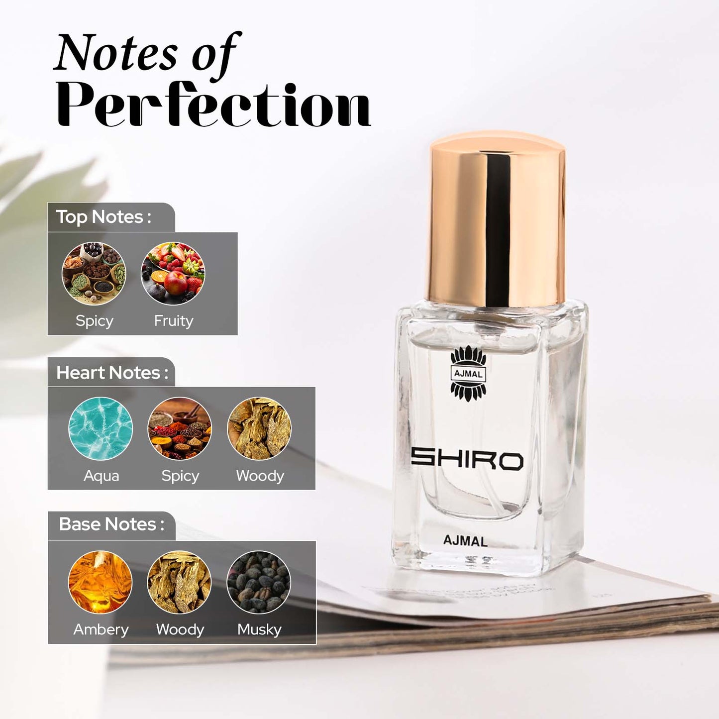 Shiro Perfume 14 ML for Men