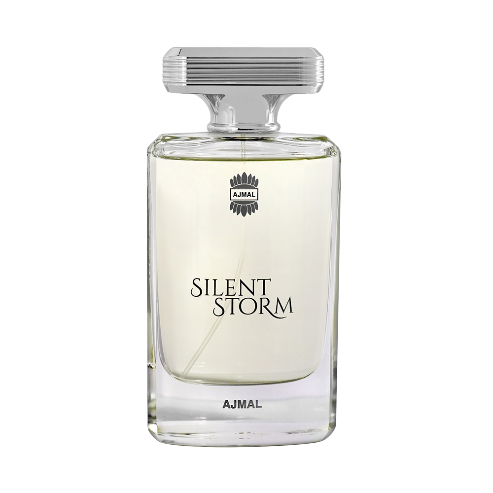 SILENT STORM EDP PERFUME 100ML LONG LASTING SCENT SPRAY Gift for Men