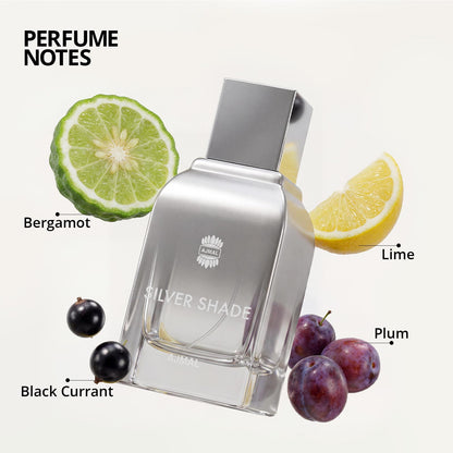 SILVER SHADE Perfume 100ML for Men